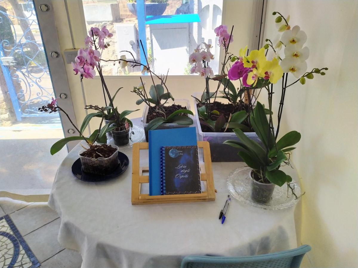 B&B Luna Blu Карбония Екстериор снимка